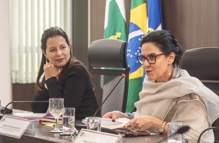 Em seminário, CNMP reforça compromisso com a inclusão e lança Guia Básico de Acessibilidade