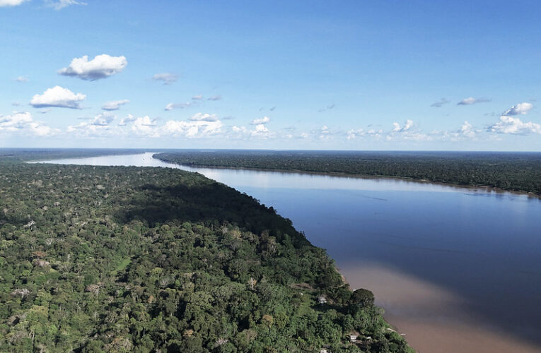 Artigo: Avanços do Judiciário no combate aos crimes ambientais na Amazônia Legal