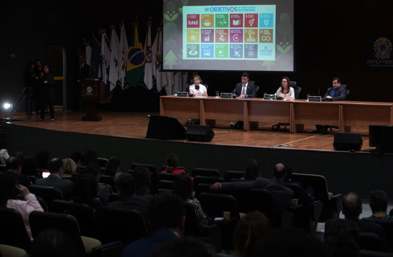 Conselheira do CNMP apresenta ações da instituição sobre emergências climáticas em conferência internacional