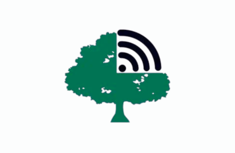 Aplicativo Radar Ambiental recebe 2,7 mil denúncias de crimes ambientais em três meses de lançamento nacional